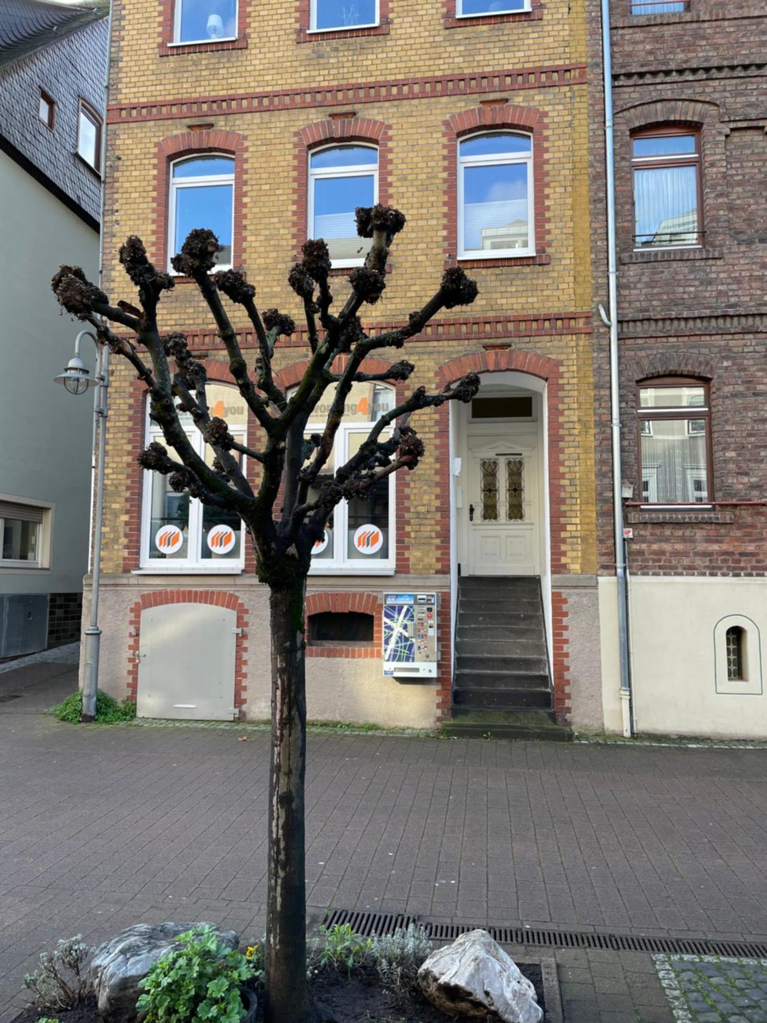 Ferienwohnung Good times in St. Goar  Sankt Goar Exterior foto